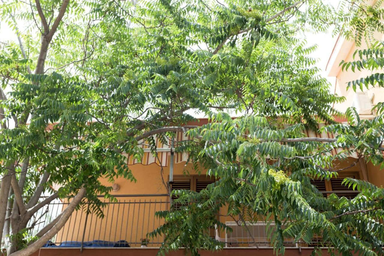 Apartamento Casa Di Clara Acireale Exterior foto